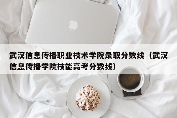 武汉信息传播职业技术学院录取分数线（武汉信息传播学院技能高考分数线）