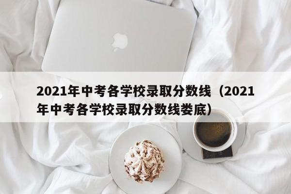 2021年中考各学校录取分数线（2021年中考各学校录取分数线娄底）