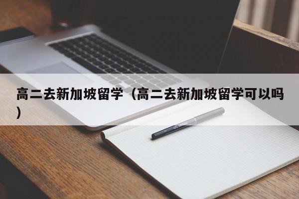 高二去新加坡留学（高二去新加坡留学可以吗）