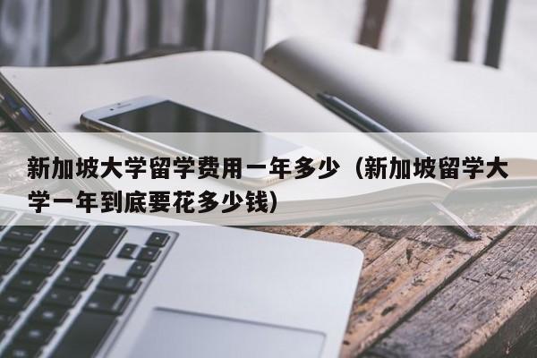 新加坡大学留学费用一年多少（新加坡留学大学一年到底要花多少钱）