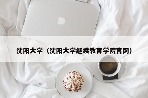 沈阳大学（沈阳大学继续教育学院官网）