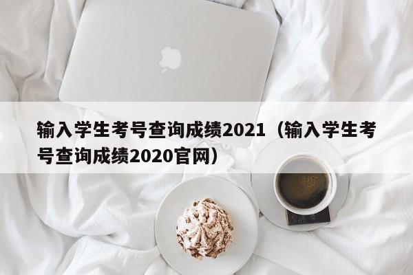 输入学生考号查询成绩2021（输入学生考号查询成绩2020官网）