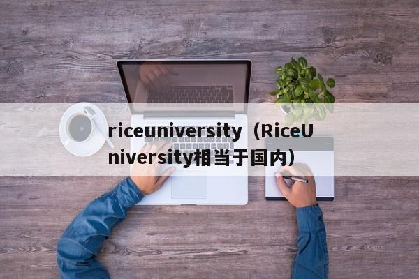 riceuniversity（RiceUniversity相当于国内）